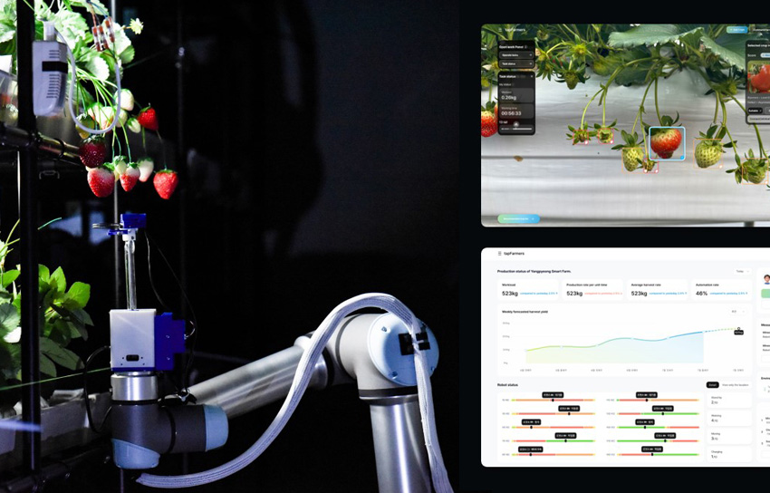 Metafarmer trained by Tapfarmers