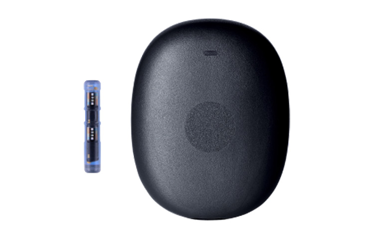 Eversense 365®
