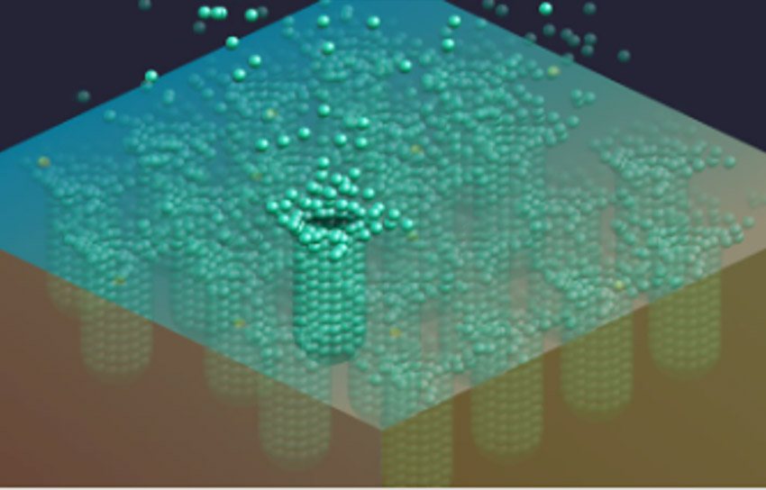 Lam Cryo™ 3.0