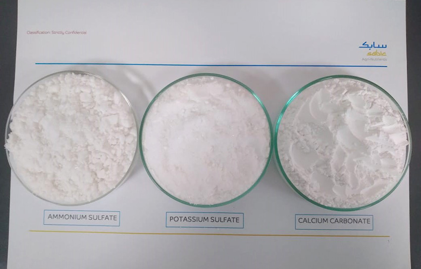 CO2 Mineralization