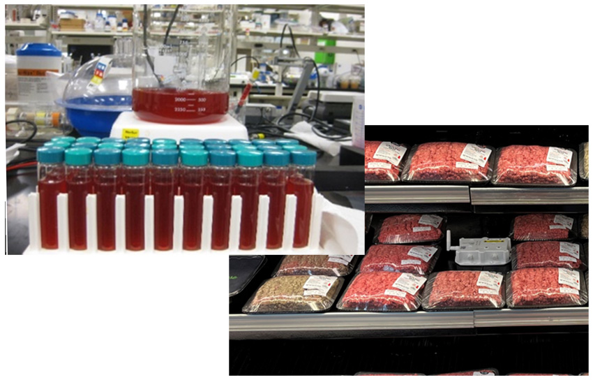Cargill Natural Flavors (CNF)