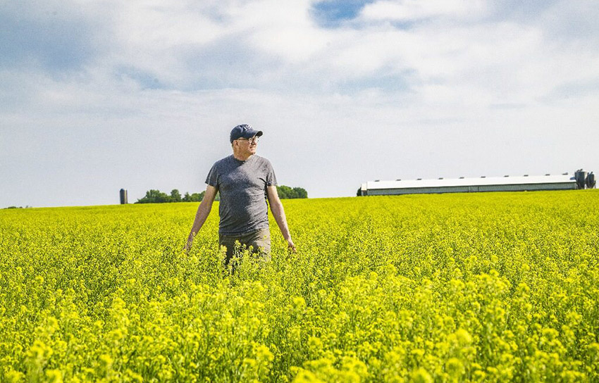 Cargill Winter Camelina for Biofuels
