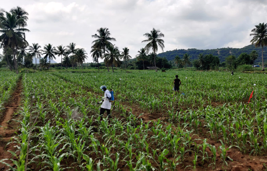Next Generation Fertilizer
