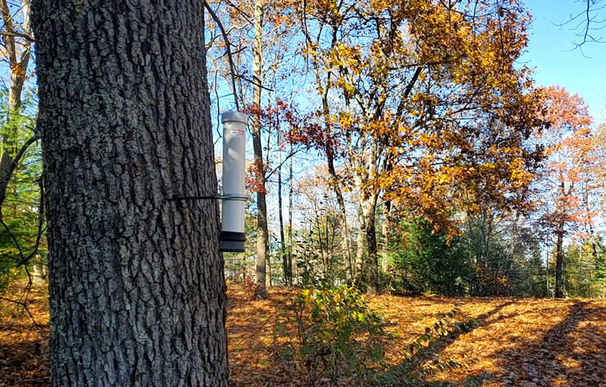 VELAR – Real-time Wildfire Early Warning System